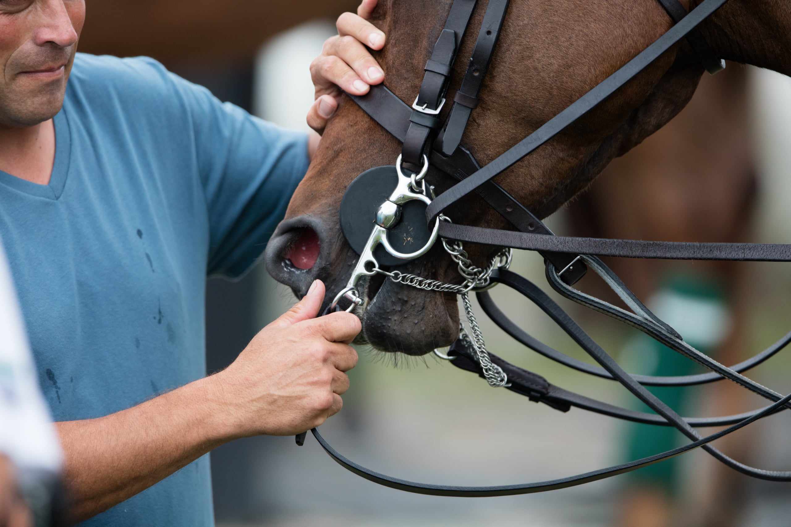 International Polo Club Wellington Florida Hi-Goal