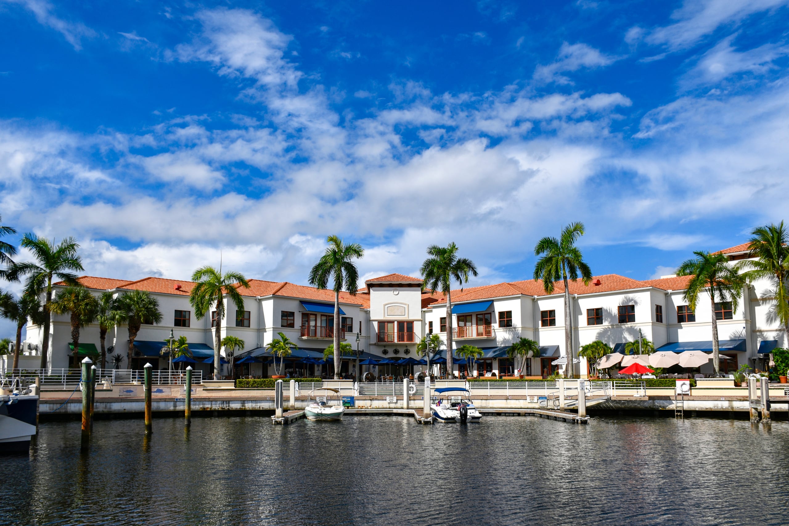 Citron Bistro A Short Drive From Jupiter Island, Worth Every Minute
