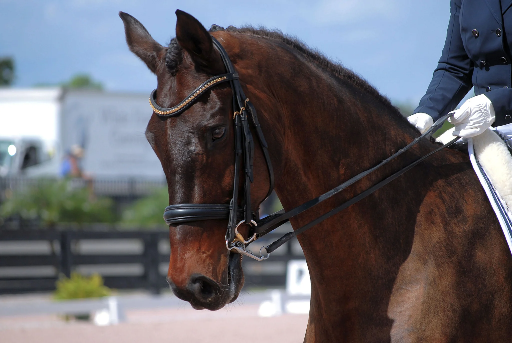 International Polo Club Wellington Florida Hi-Goal